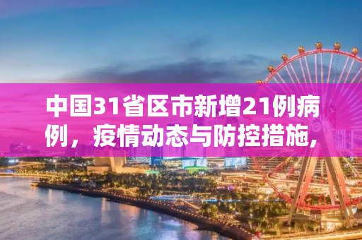 中国31省区市新增21例病例，疫情动态与防控措施,31省区市新增21例