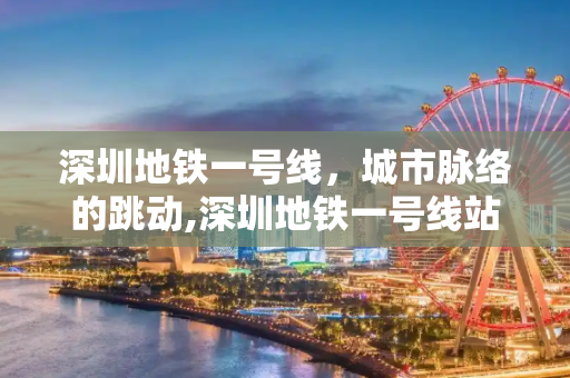 深圳地铁一号线，城市脉络的跳动,深圳地铁一号线站点