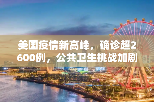 美国疫情新高峰，确诊超2600例，公共卫生挑战加剧,美国确诊超2600例