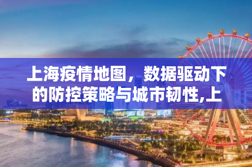 上海疫情地图，数据驱动下的防控策略与城市韧性,上海疫情地图