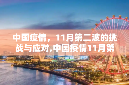 中国疫情，11月第二波的挑战与应对,中国疫情11月第二波的简单介绍
