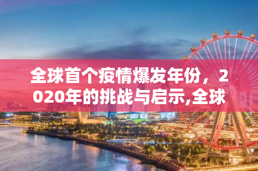 全球首个疫情爆发年份，2020年的挑战与启示,全球首个疫情爆发年份