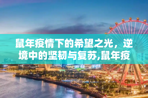 鼠年疫情下的希望之光，逆境中的坚韧与复苏,鼠年疫情下的希望之光