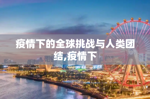 疫情下的全球挑战与人类团结,疫情下