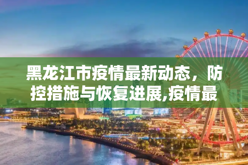 黑龙江市疫情最新动态，防控措施与恢复进展,疫情最新消息黑龙江市