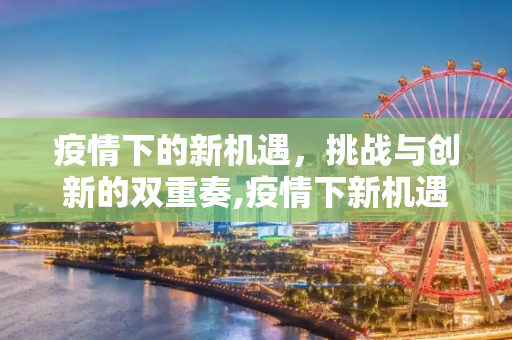 疫情下的新机遇，挑战与创新的双重奏,疫情下新机遇