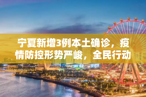 宁夏新增3例本土确诊，疫情防控形势严峻，全民行动共筑防线,关于宁夏新增3例本土确诊的信息