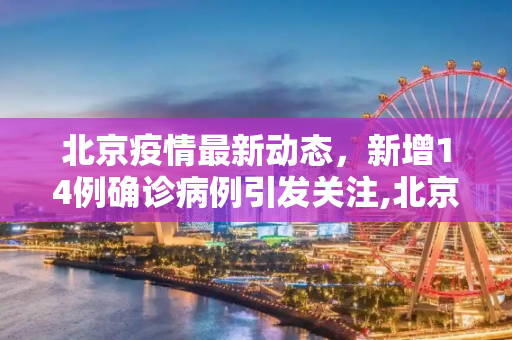 北京疫情最新动态，新增14例确诊病例引发关注,北京新增14例确诊病例