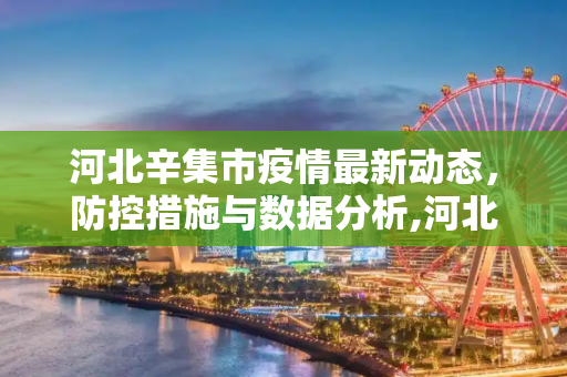 河北辛集市疫情最新动态，防控措施与数据分析,河北辛集疫情最新数据消息