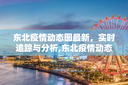 东北疫情动态图最新，实时追踪与分析,东北疫情动态图最新