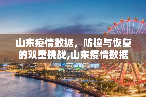 山东疫情数据，防控与恢复的双重挑战,山东疫情数据