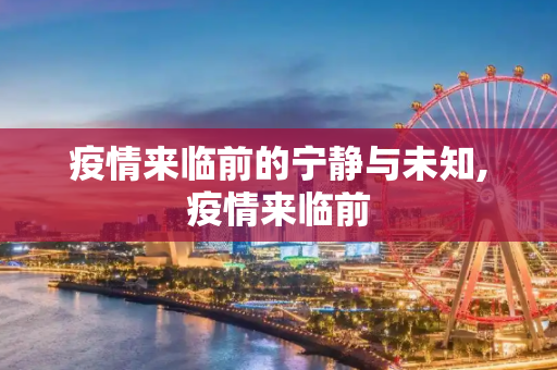 疫情来临前的宁静与未知,疫情来临前