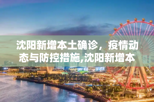 沈阳新增本土确诊，疫情动态与防控措施,沈阳新增本土确诊