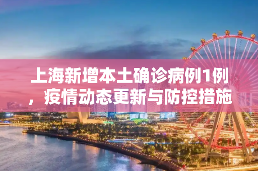 上海新增本土确诊病例1例，疫情动态更新与防控措施,关于上海新增本土确诊1例的信息