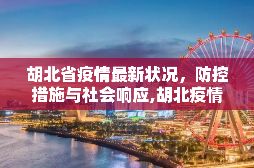 胡北省疫情最新状况，防控措施与社会响应,胡北疫情最新状况