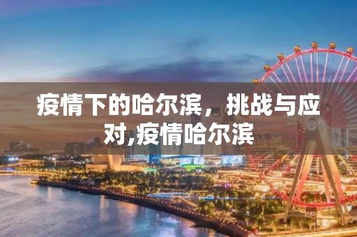 疫情下的哈尔滨，挑战与应对,疫情哈尔滨