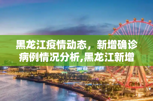 黑龙江疫情动态，新增确诊病例情况分析,黑龙江新增确诊病例