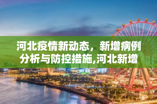 河北疫情新动态，新增病例分析与防控措施,河北新增
