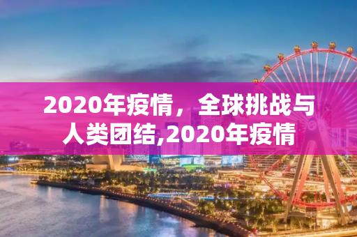 2020年疫情，全球挑战与人类团结,2020年疫情