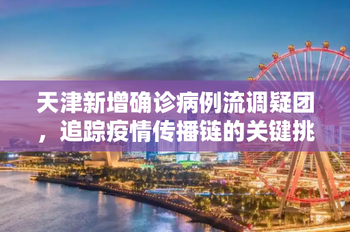 天津新增确诊病例流调疑团，追踪疫情传播链的关键挑战,天津新增确诊病例流调疑团