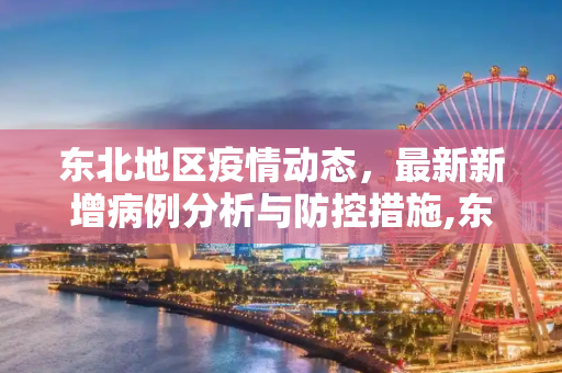 东北地区疫情动态，最新新增病例分析与防控措施,东北疫情最新新增病例
