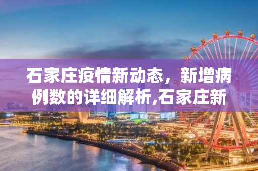 石家庄疫情新动态，新增病例数的详细解析,石家庄新增