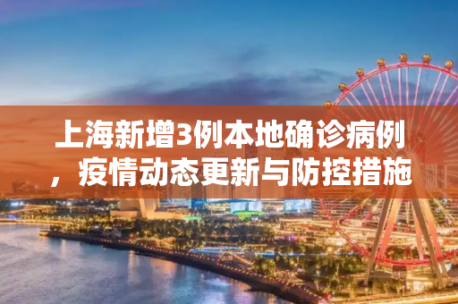 上海新增3例本地确诊病例，疫情动态更新与防控措施,上海新增3例本地确诊病例