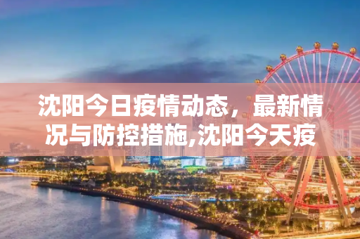 沈阳今日疫情动态，最新情况与防控措施,沈阳今天疫情最新情况
