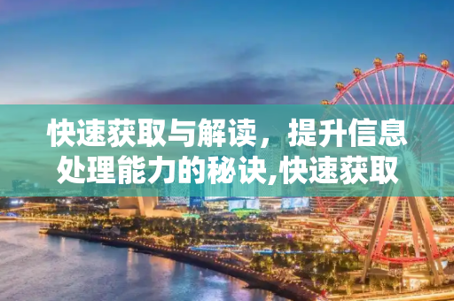 快速获取与解读，提升信息处理能力的秘诀,快速获取与解读