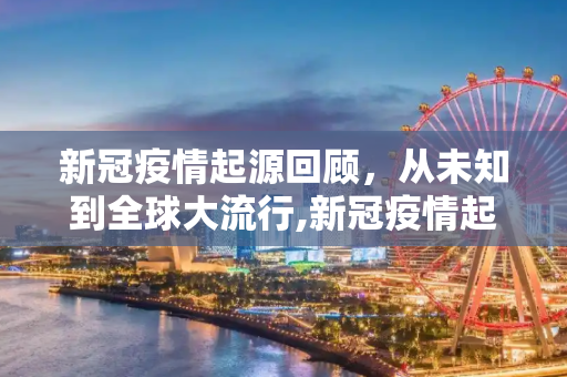 新冠疫情起源回顾，从未知到全球大流行,新冠疫情起源回顾