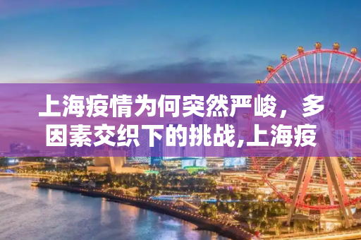 上海疫情为何突然严峻，多因素交织下的挑战,上海疫情为什么突然这么严重