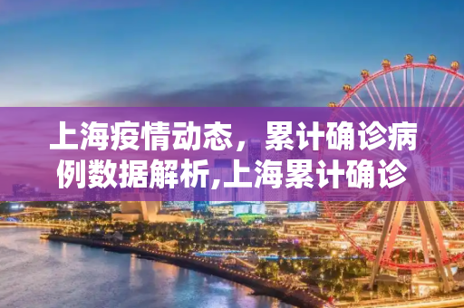 上海疫情动态，累计确诊病例数据解析,上海累计确诊多少例了
