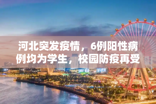 河北突发疫情，6例阳性病例均为学生，校园防疫再受关注,河北发现6例阳性均是学生