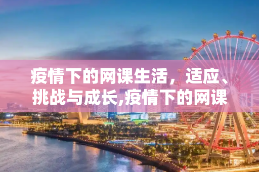 疫情下的网课生活，适应、挑战与成长,疫情下的网课生活