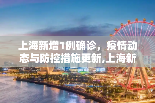 上海新增1例确诊，疫情动态与防控措施更新,上海新增1例确诊