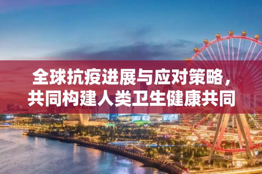 全球抗疫进展与应对策略，共同构建人类卫生健康共同体,全球抗疫进展与应对策略