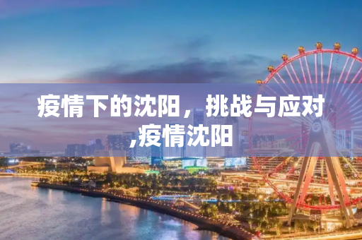 疫情下的沈阳，挑战与应对,疫情沈阳