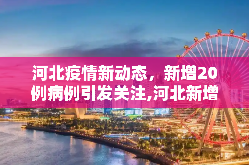 河北疫情新动态，新增20例病例引发关注,河北新增20例