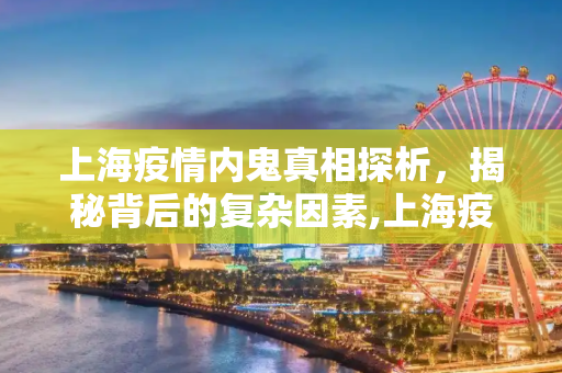 上海疫情内鬼真相探析，揭秘背后的复杂因素,上海疫情内鬼真相探析
