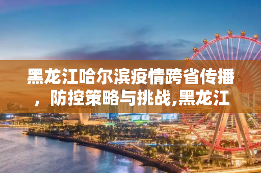 黑龙江哈尔滨疫情跨省传播，防控策略与挑战,黑龙江哈尔滨疫情跨省传播