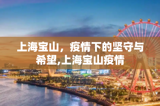 上海宝山，疫情下的坚守与希望,上海宝山疫情
