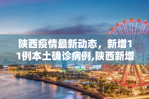 陕西疫情最新动态，新增11例本土确诊病例,陕西新增11例本土确诊病例