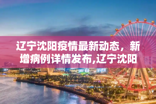 辽宁沈阳疫情最新动态，新增病例详情发布,辽宁沈阳发布新增病例详情
