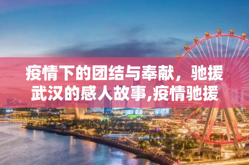 疫情下的团结与奉献，驰援武汉的感人故事,疫情驰援武汉
