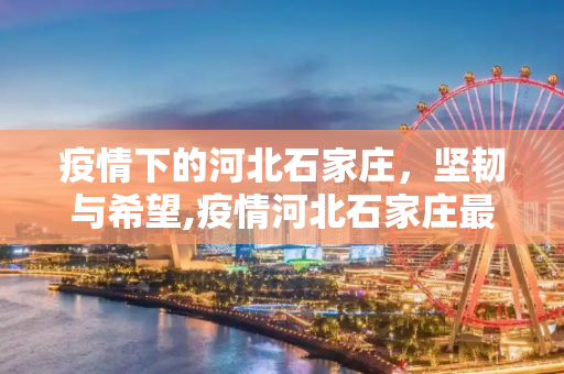 疫情下的河北石家庄，坚韧与希望,疫情河北石家庄最新