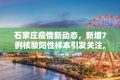 石家庄疫情新动态，新增7例核酸阳性样本引发关注,石家庄新增7例核酸阳性样本