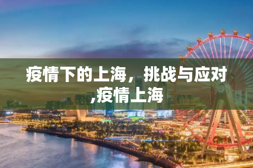 疫情下的上海，挑战与应对,疫情上海