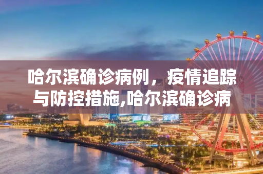 哈尔滨确诊病例，疫情追踪与防控措施,哈尔滨确诊病例