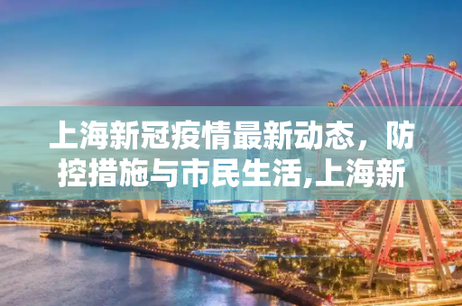 上海新冠疫情最新动态，防控措施与市民生活,上海新冠疫情最新消息