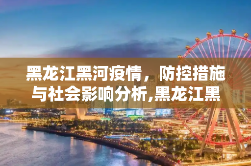 黑龙江黑河疫情，防控措施与社会影响分析,黑龙江黑河疫情